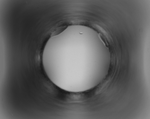 X0000092090405200710031158