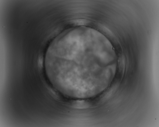 X0000092090406200710031158