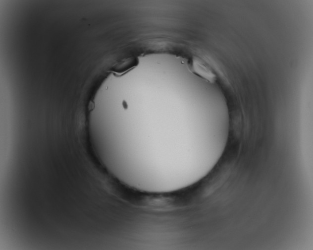 X0000092090407200710031158