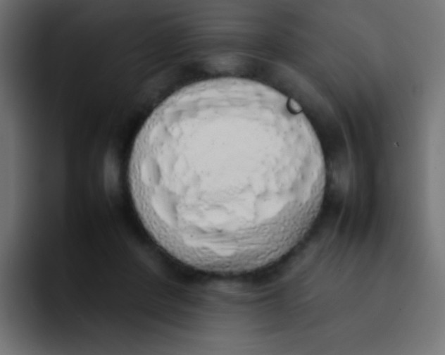 X0000092090408200710031158