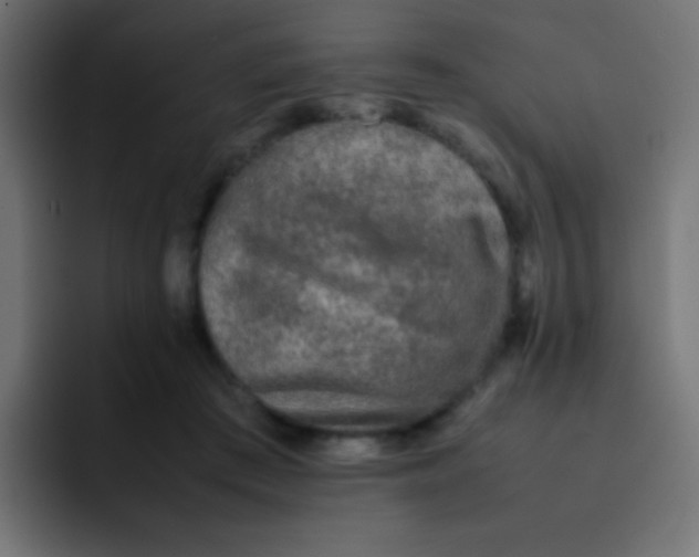 X0000092090409200710031158