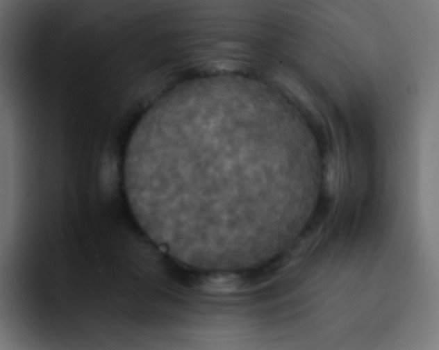 X0000092090410200710031158