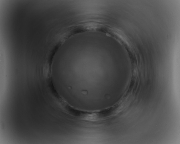 X0000092090411200710031158