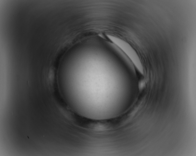 X0000092090412200710031158