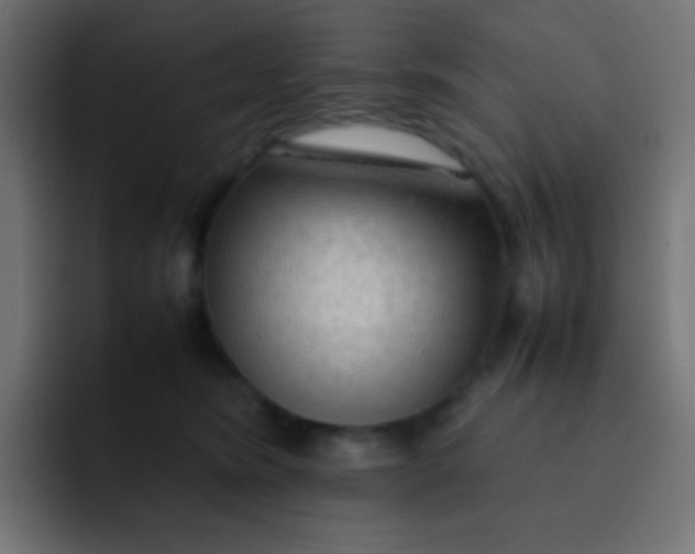 X0000092090420200710031158