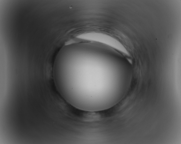 X0000092090421200710031158