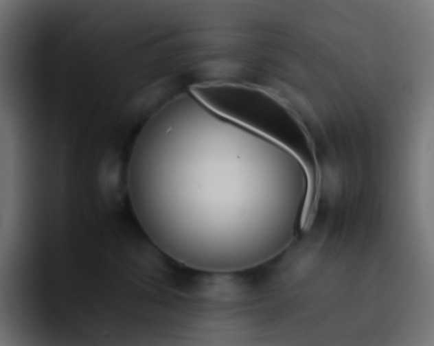 X0000092090428200710031157