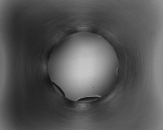 X0000092090432200710031157