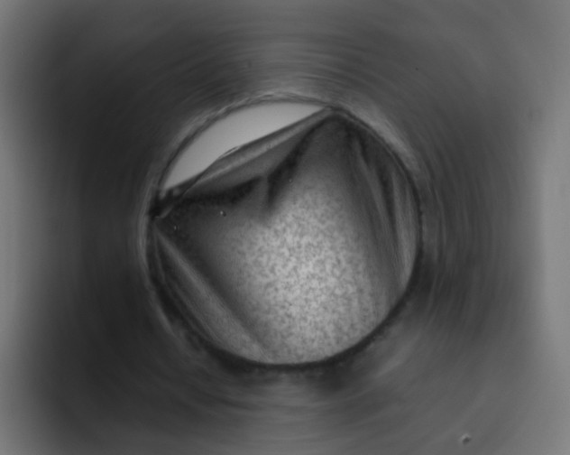 X0000092090434200710031157