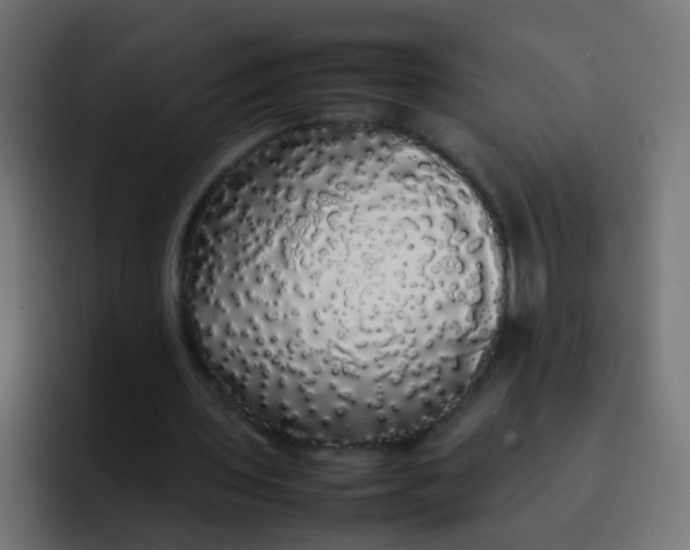 X0000092090435200710031157