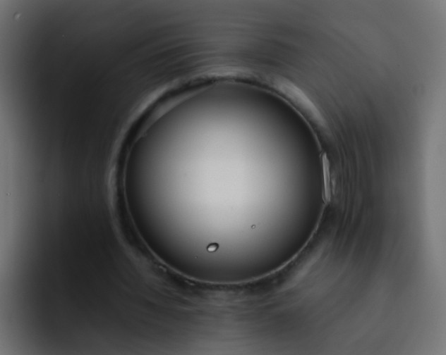 X0000092090436200710031157