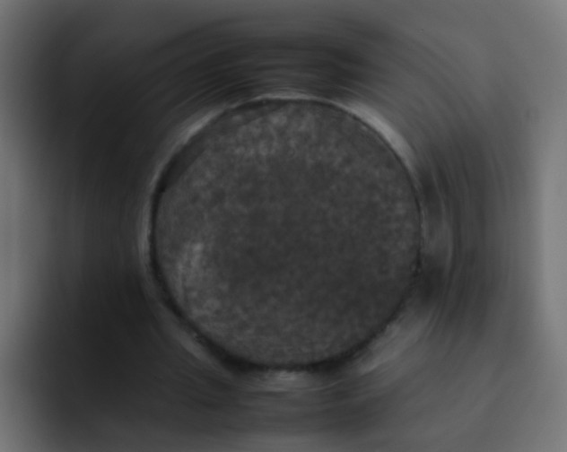 X0000092090437200710031157