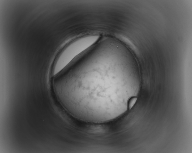 X0000092090439200710031157