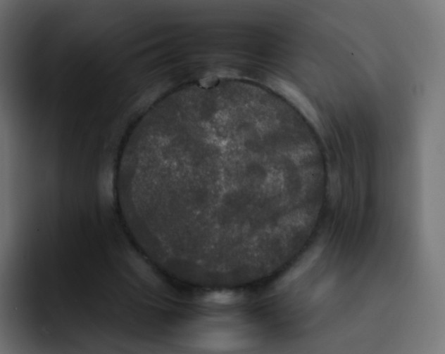 X0000092090441200710031157