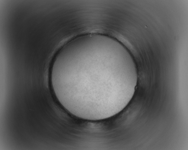 X0000092090442200710031157