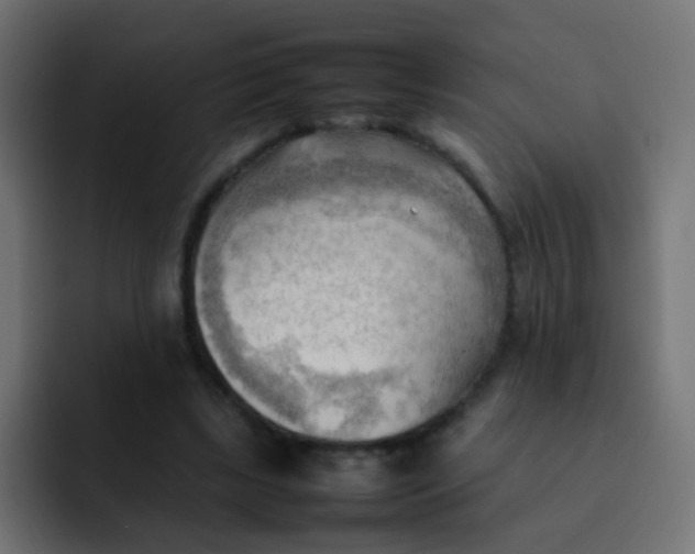 X0000092090443200710031157