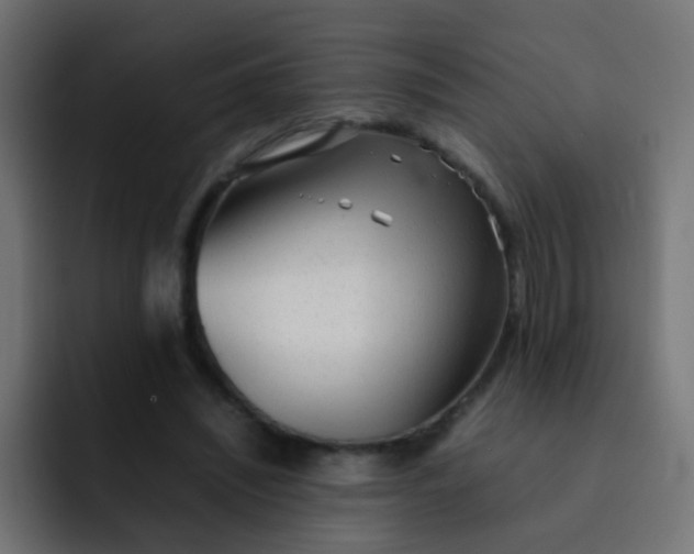 X0000092090444200710031157