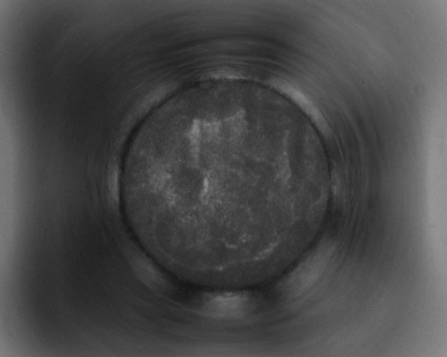 X0000092090445200710031157