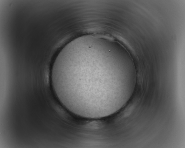 X0000092090446200710031157