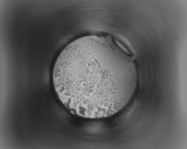 X0000092090447200710031157