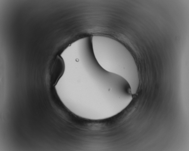 X0000092090448200710031157