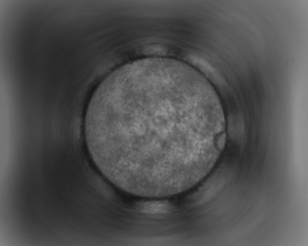 X0000092090449200710031157