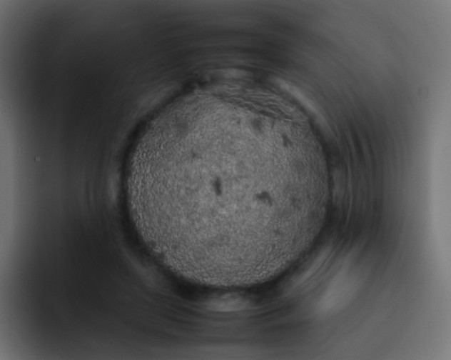 X0000092090451200710031157