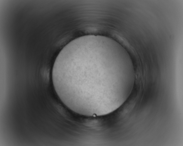 X0000092090454200710031157