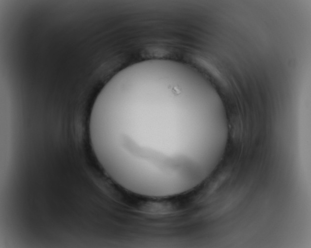 X0000092090455200710031157