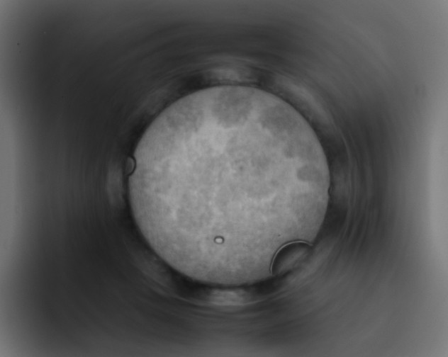 X0000092090457200710031157