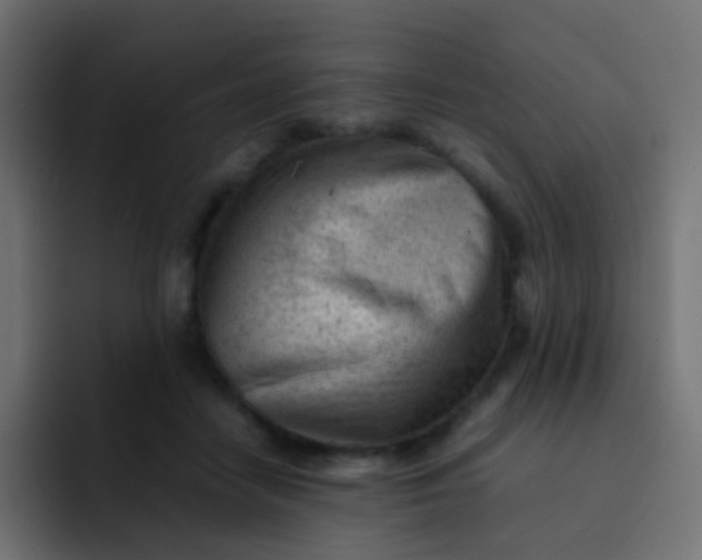 X0000092090458200710031157