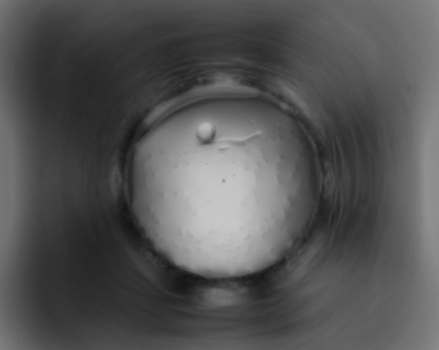 X0000092090459200710031157