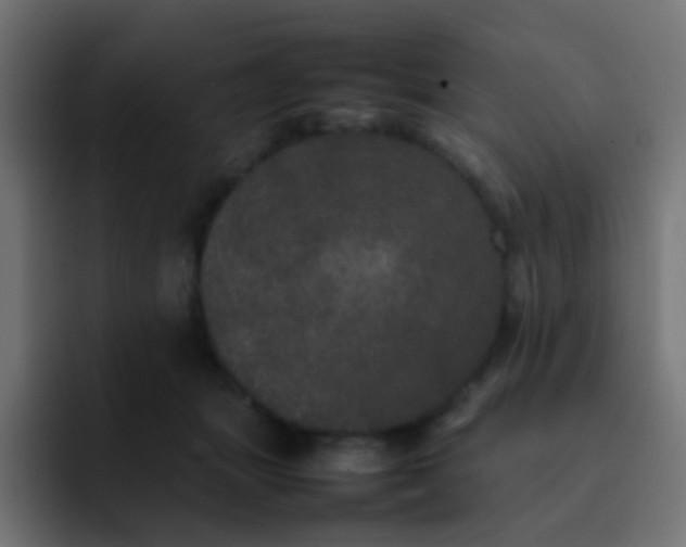 X0000092090463200710031157