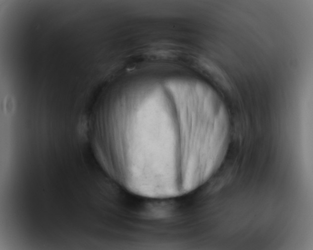 X0000092090465200710031157