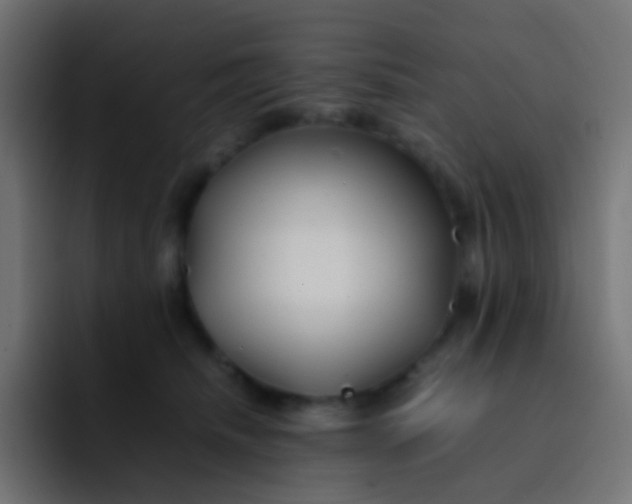 X0000092090468200710031157