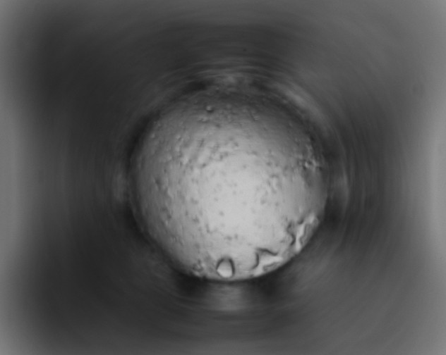 X0000092090469200710031157