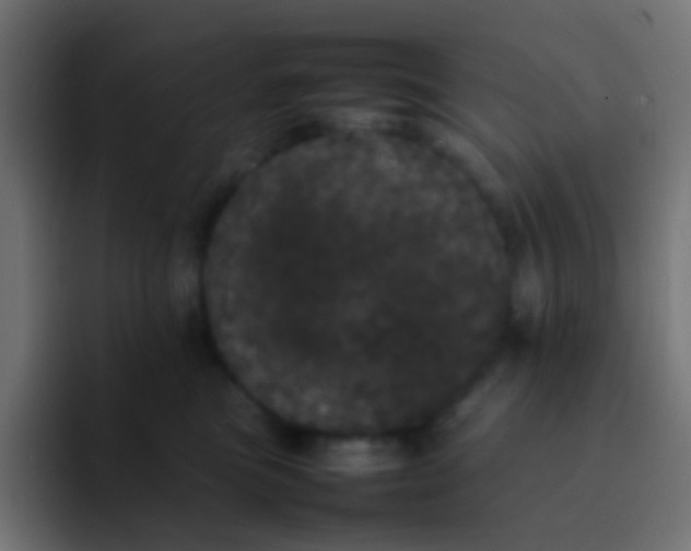 X0000092090473200710031157