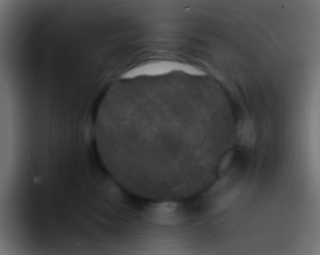 X0000092090474200710031157