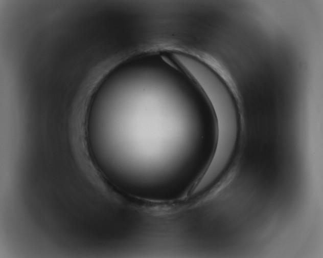 X0000092090481200710031157