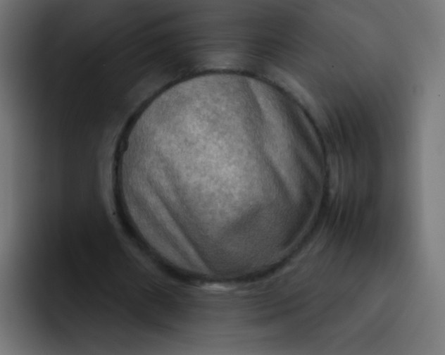 X0000092090482200710031157