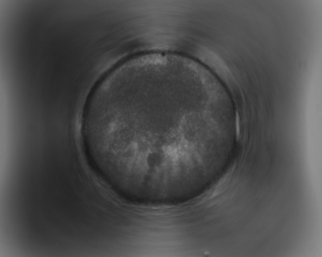 X0000092090483200710031157