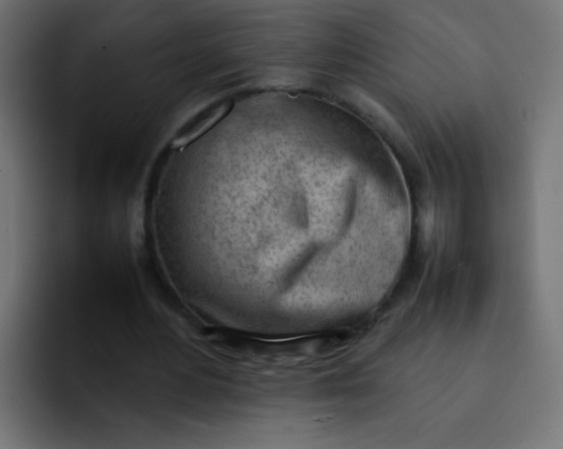 X0000092090484200710031157