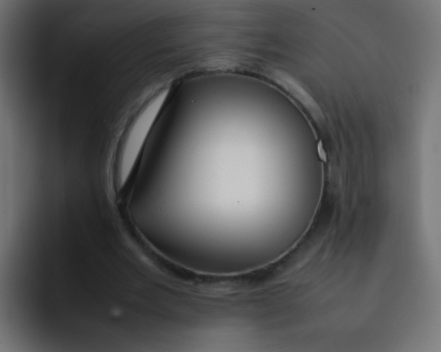 X0000092090485200710031157