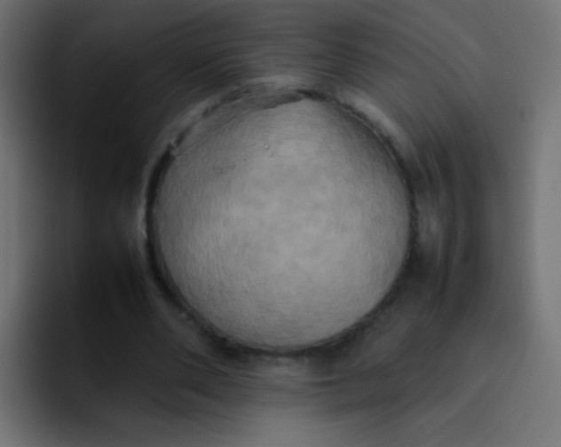 X0000092090486200710031157