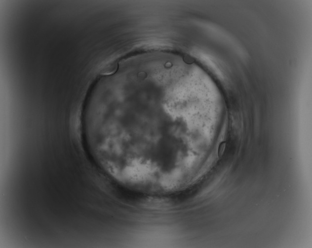 X0000092090487200710031157