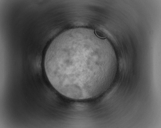 X0000092090490200710031157