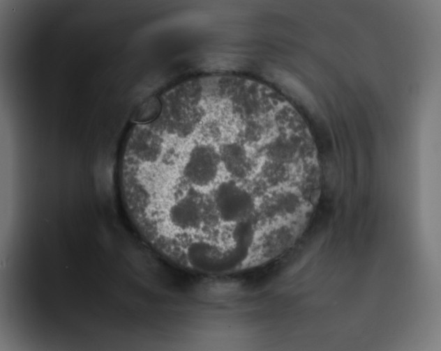 X0000092090491200710031157