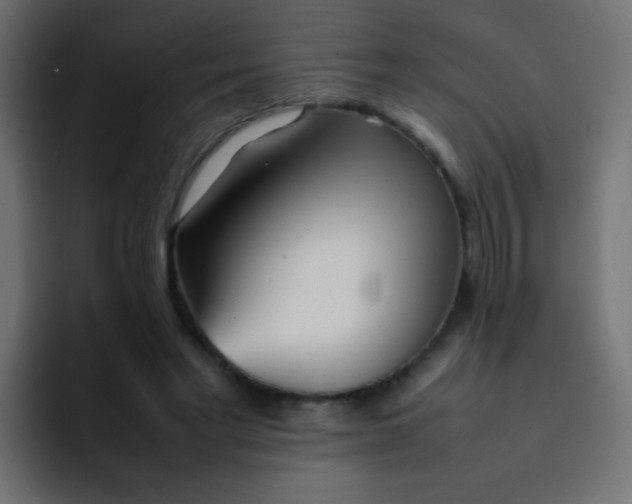 X0000092090493200710031157