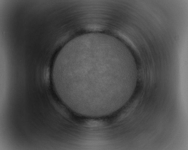 X0000092090494200710031157