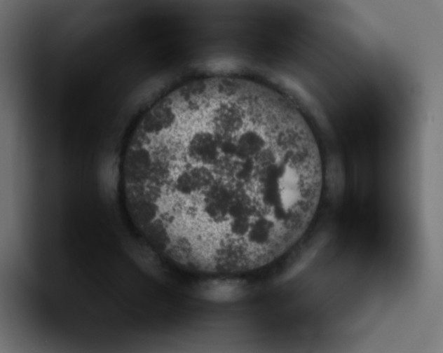 X0000092090495200710031157